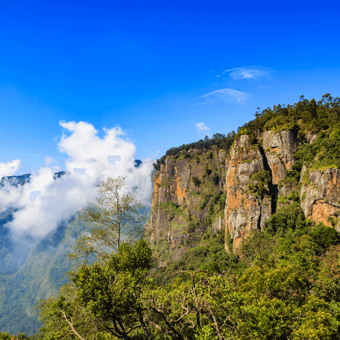 Kodaikanal - Poombarai Offbeat Adventure Trip