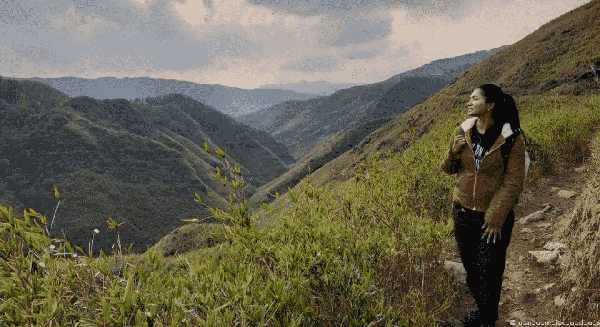 Dzukou Valley Trek - Nagaland photo 3
