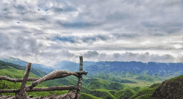 Dzukou Valley Trek - Nagaland thumbnail 3