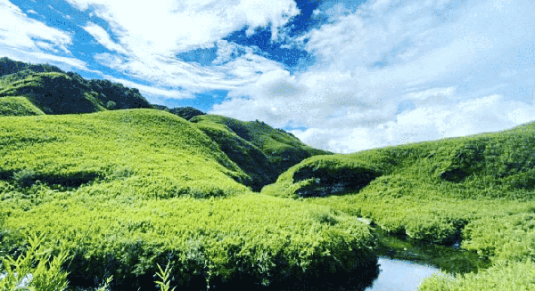 Dzukou Valley Trek - Nagaland photo 4