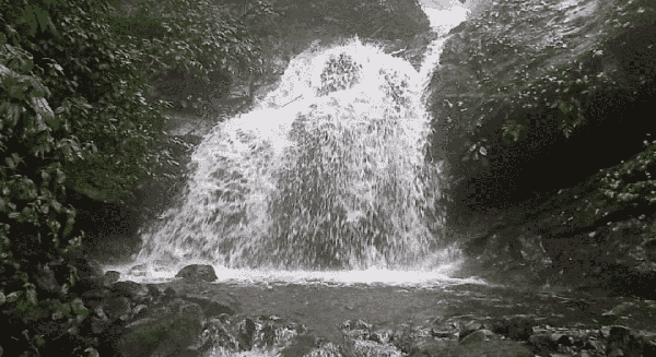 Ranipuram Trek & Offbeat Kasargod Exploration thumbnail 2