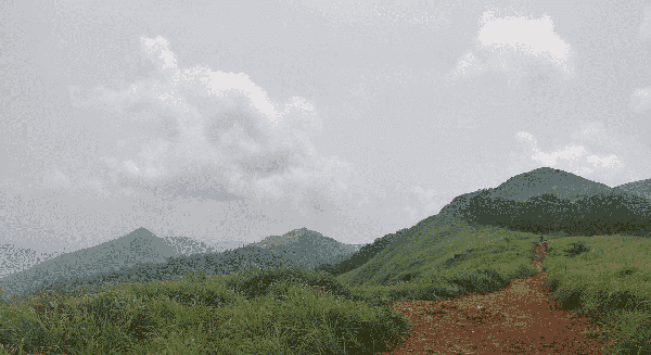 Ranipuram Trek & Offbeat Kasargod Exploration thumbnail 3