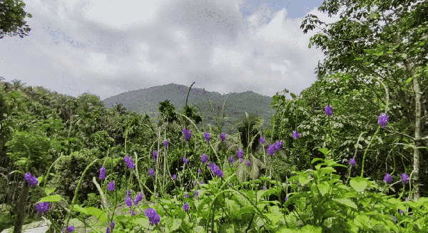Ranipuram Trek & Offbeat Kasargod Exploration photo 3