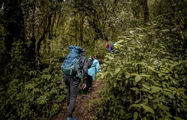 Nagaland Kohima Tour photo 4