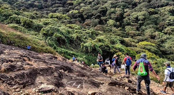 Kumara Parvatha Trek - Beedehalli to Kukke photo 2