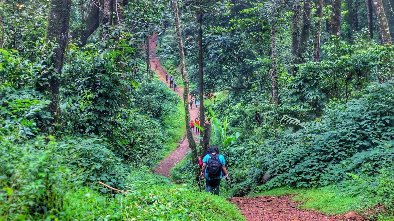 Tavoor Hills Coorg Trek | Plan the Unplanned