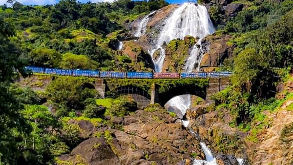 Dudhsagar Waterfalls Trek & South Goa Trip photo 3