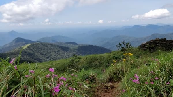 Nishani Motte Coorg Trek photo 4