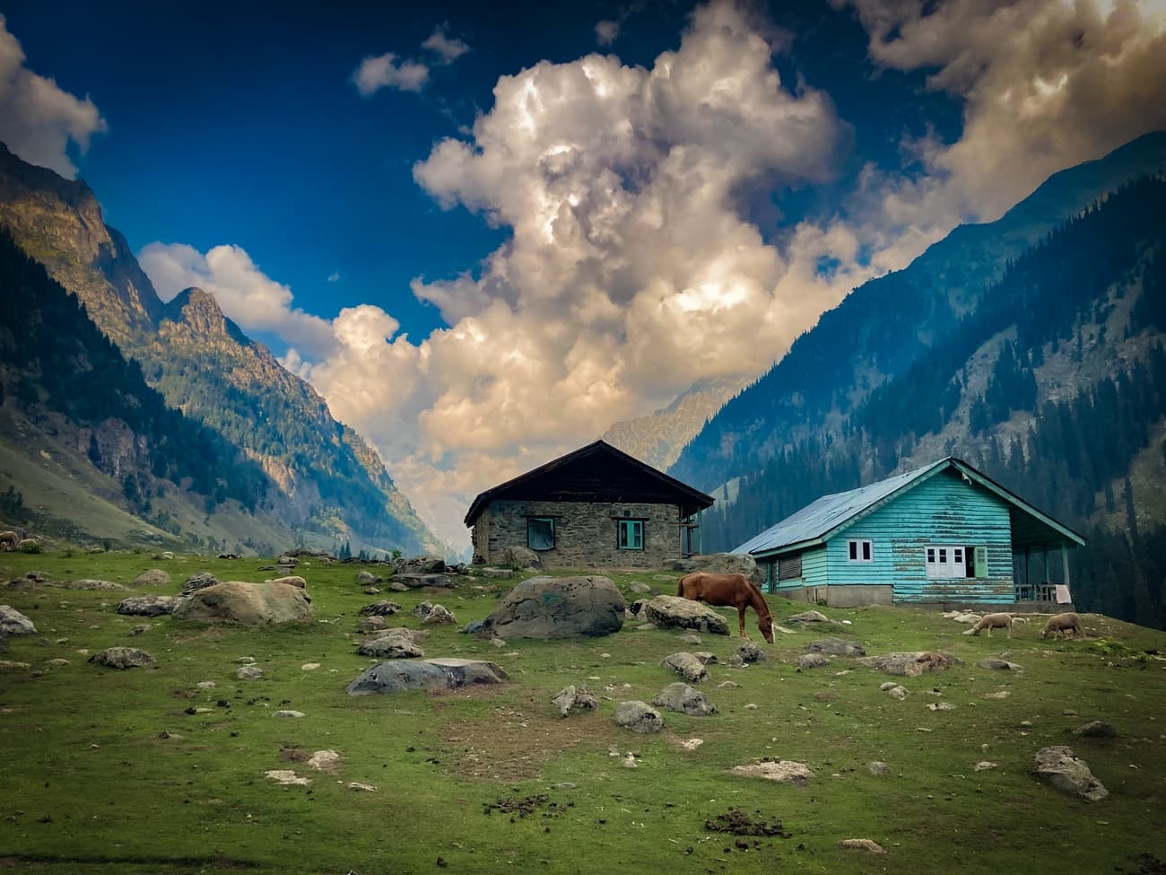Tarsar Marsar Kashmir Trek | Plan the Unplanned