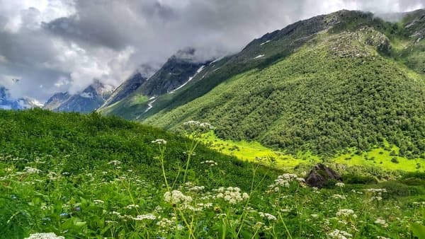 Valley of Flowers Trek photo 3