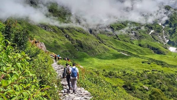 Valley of Flowers Trek thumbnail 3