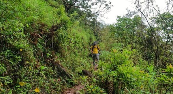 Netravati Peak Trek from Bangalore photo 3