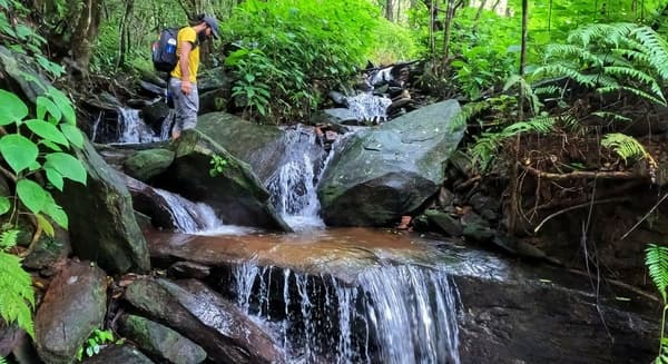 Netravati Peak Trek from Bangalore photo 2