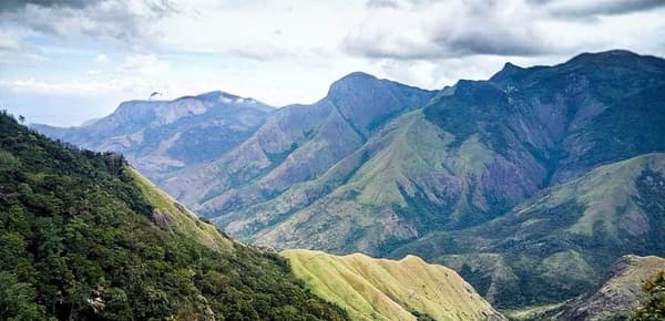 Kolukkumalai Munnar Tour photo 4