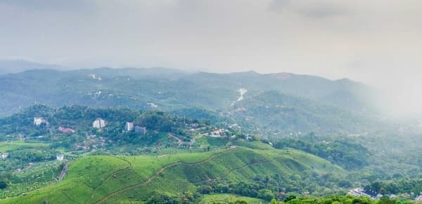 Kolukkumalai Munnar Tour photo 3