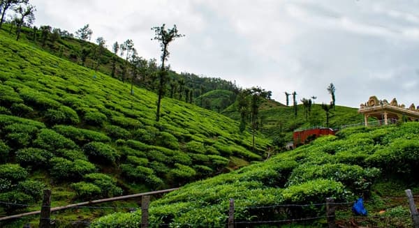 Kudremukh Weekend Trek photo 4
