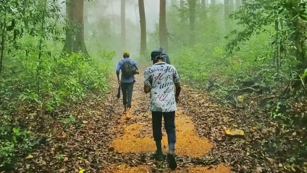 Kurinjal Peak Trek photo 2