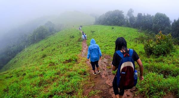 Kodachadri Trek via Hidlumane Falls photo 3