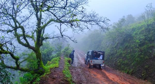 Kodachadri Trek via Hidlumane Falls photo 4