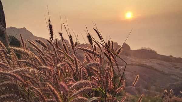 Uttari Betta Sunrise Trek photo 2