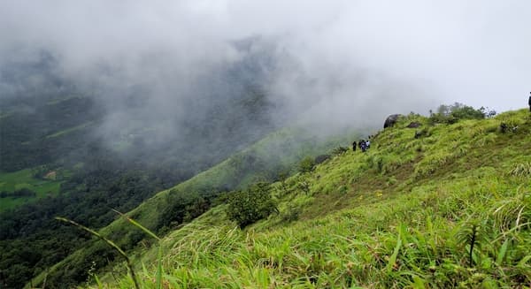 Tavoor Hills Coorg Trek photo 4
