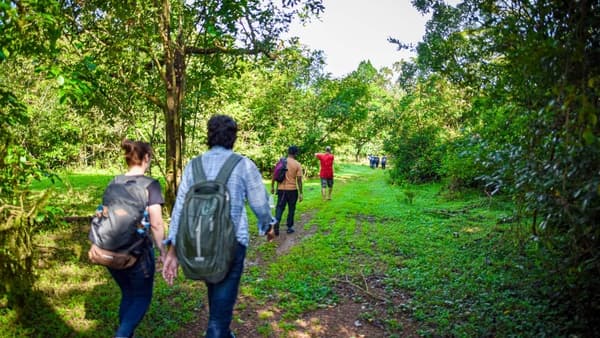 Agumbe Exploration photo 1